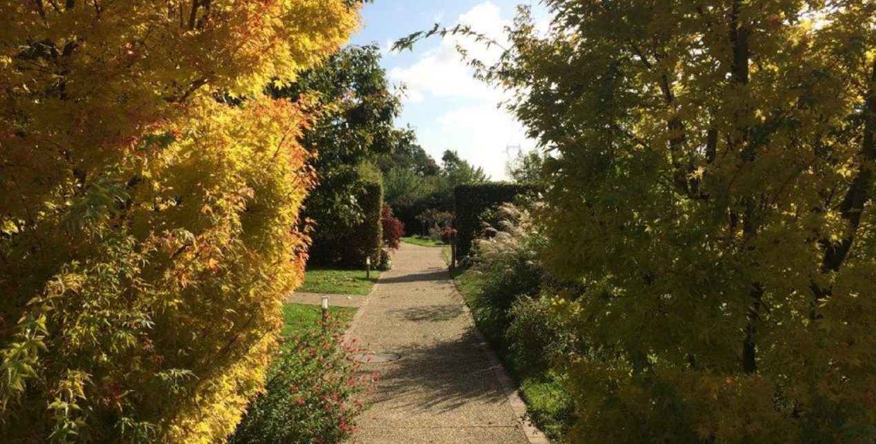 Photo de l'allée vers le Parc Mémorial du Crématorium de Vannes