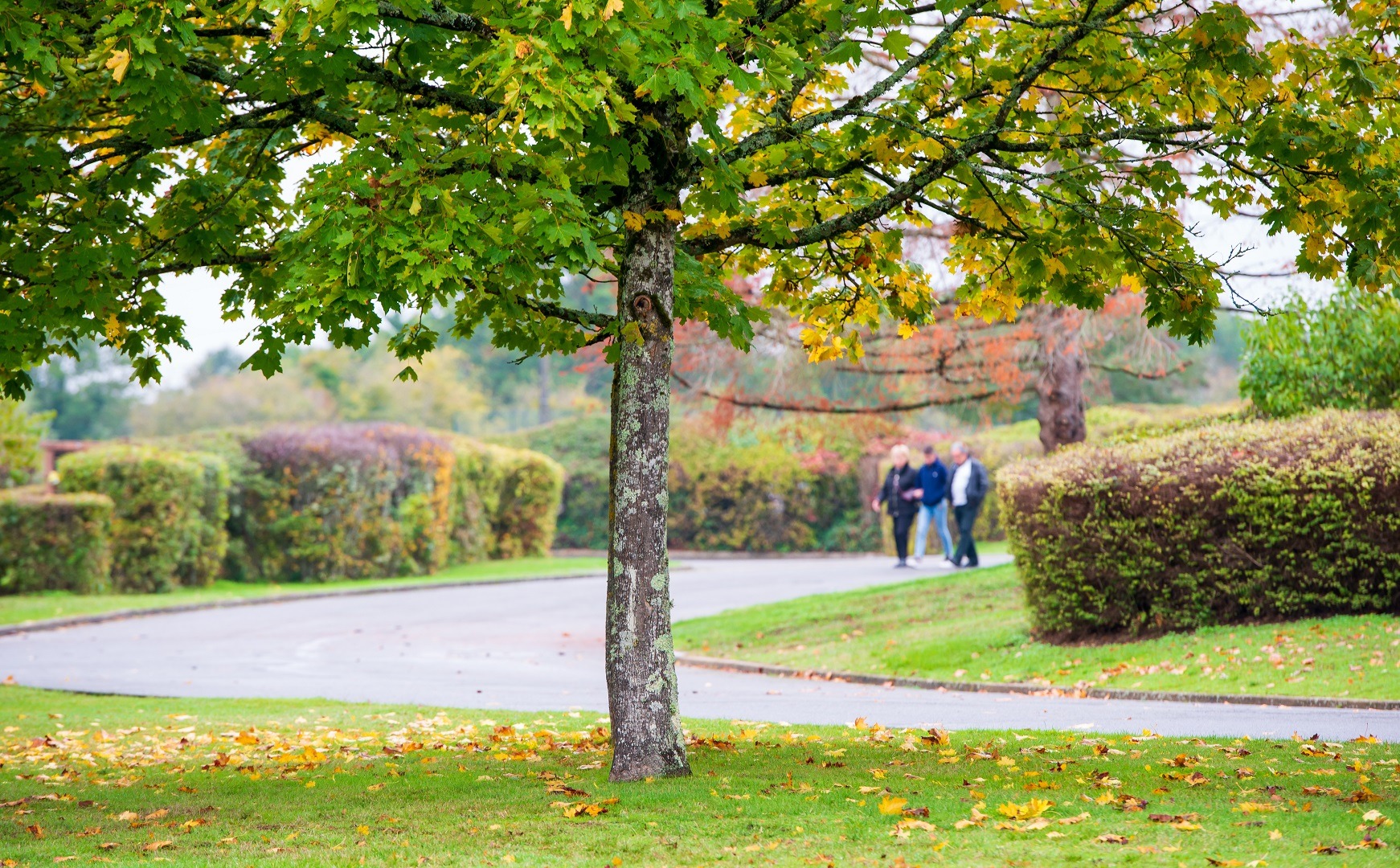 Parc - Crématorium Amilly - La Société des Crématoriums de France