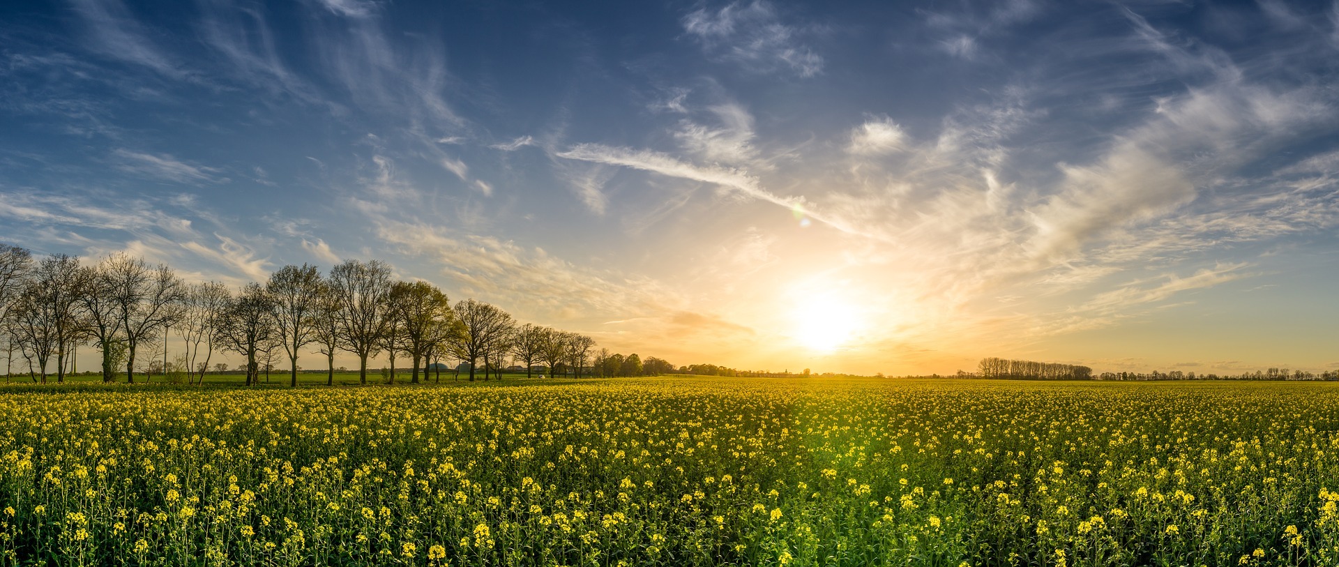 Paysage campagne - La Société des Crématoriums de France